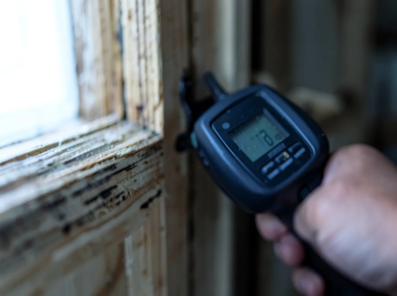 Moisture Inspection And Documentation in Crawfordsville, IN